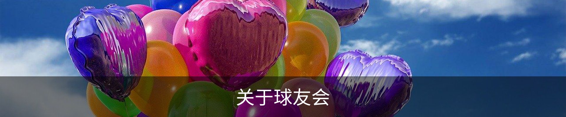 关于球友会